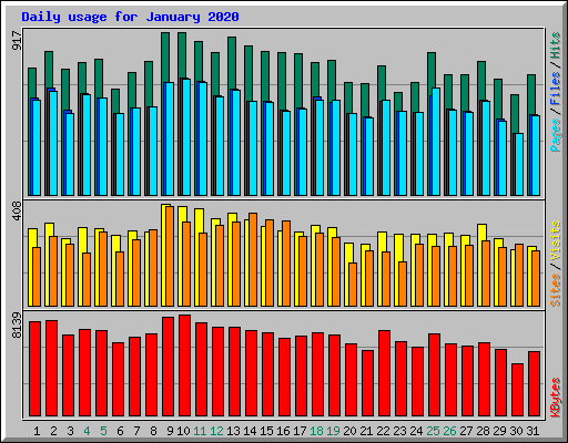 Daily usage for January 2020
