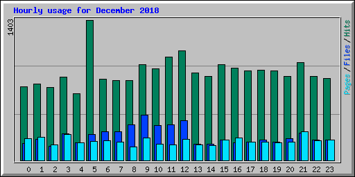 Hourly usage for December 2018