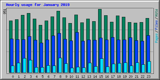 Hourly usage for January 2019