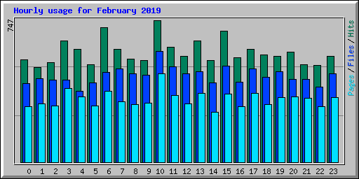 Hourly usage for February 2019
