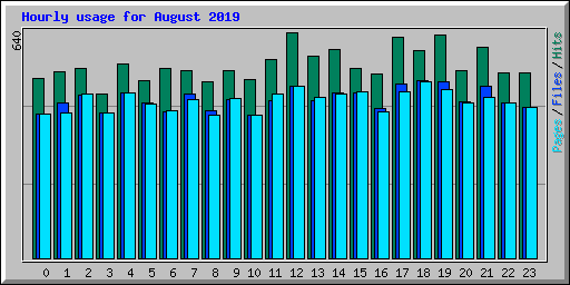 Hourly usage for August 2019