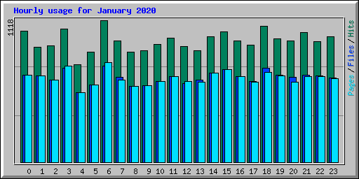 Hourly usage for January 2020