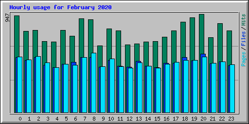 Hourly usage for February 2020